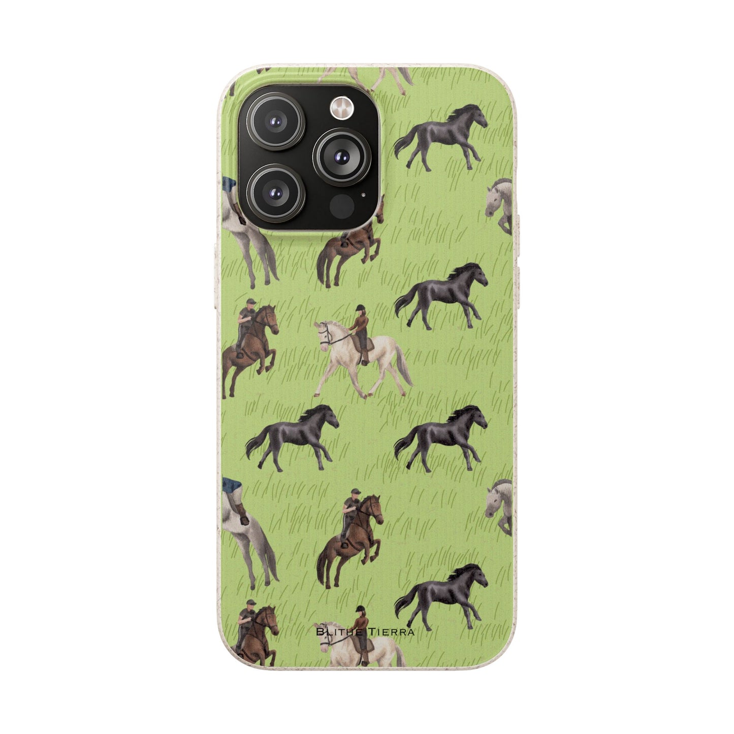 Biodegradable Case (Chasing The Wind)