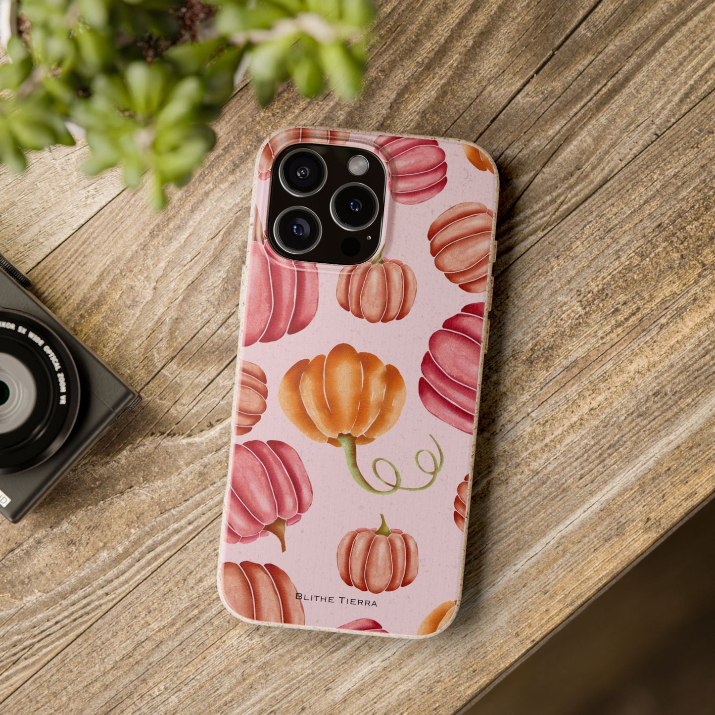 Biodegradable Case (Pumpkin Sorbet)