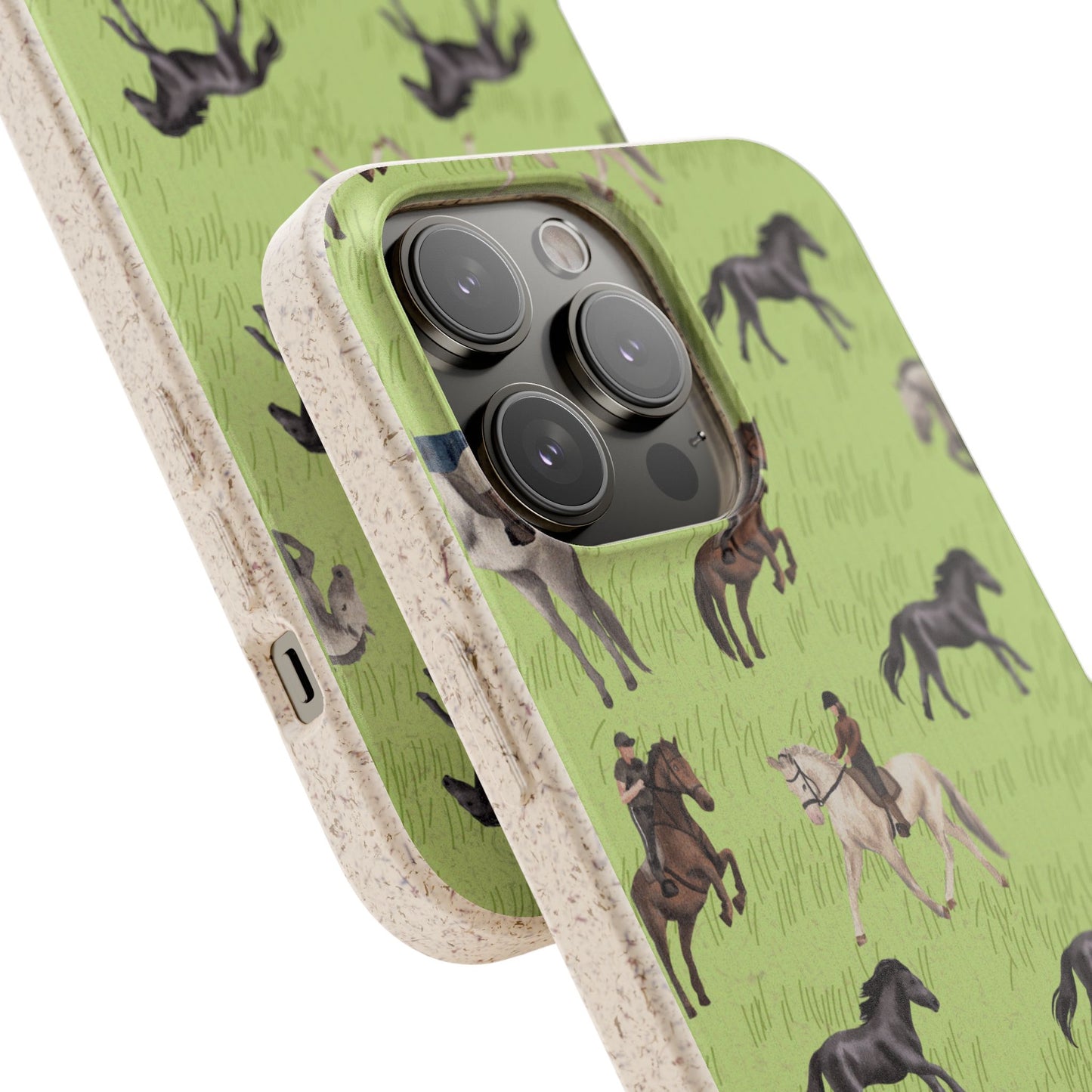 Biodegradable Case (Chasing The Wind)