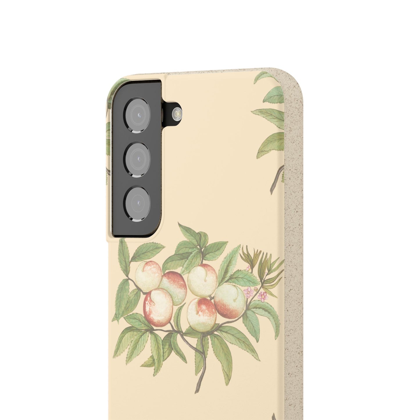 Biodegradable Case (Timeless Harvest)