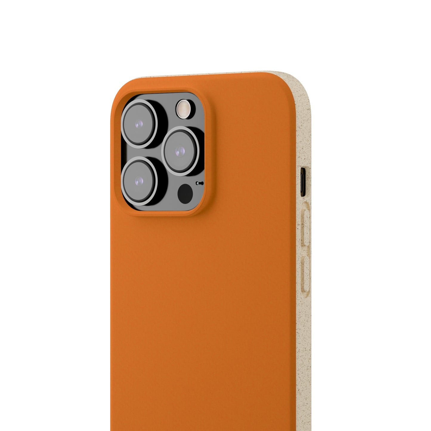 Biodegradable Case (Pumpkin Spice)